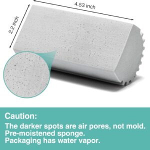 Home 4 pack damp dusting sponge duster
